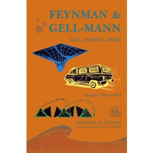 Feynman & Gell-Mann - Luz, quarks, ação